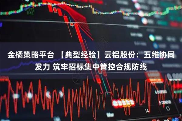 金橘策略平台 【典型经验】云铝股份：五维协同发力 筑牢招标集中管控合规防线