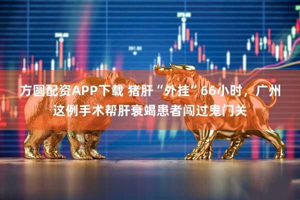 方圆配资APP下载 猪肝“外挂”66小时,广州这例手术帮肝衰竭患者闯过鬼门关